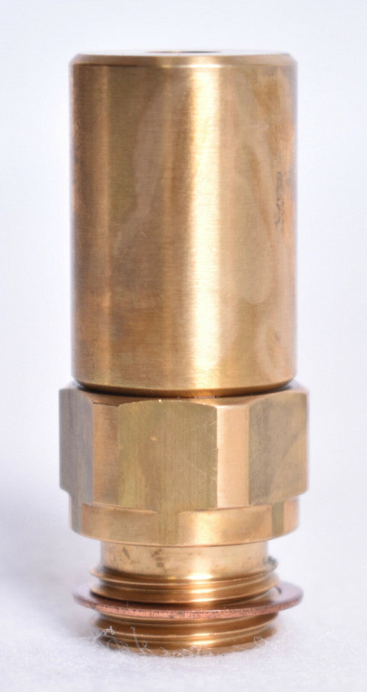 Pulsafeeder Relief Valve W208190-000