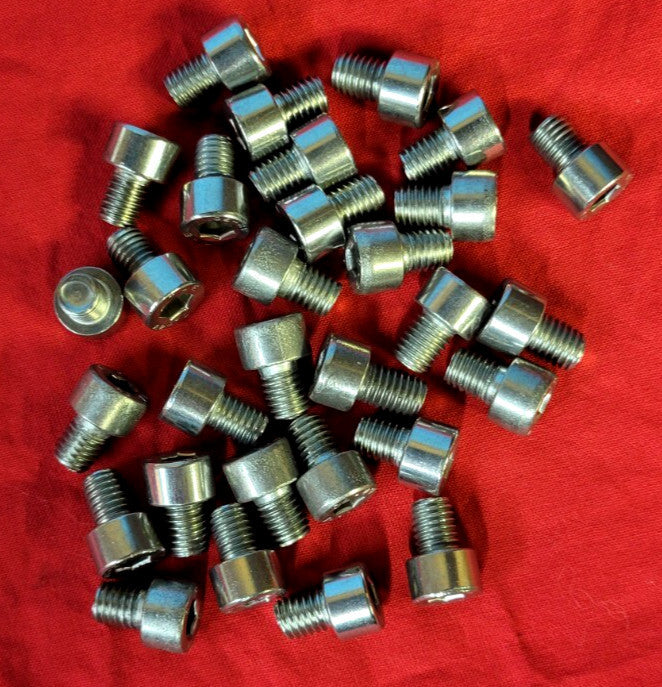 SOCKET HEAD CAP SCREW STAINLESS STEEL M6 - 1.0 X 14MM (LOT OF 33)