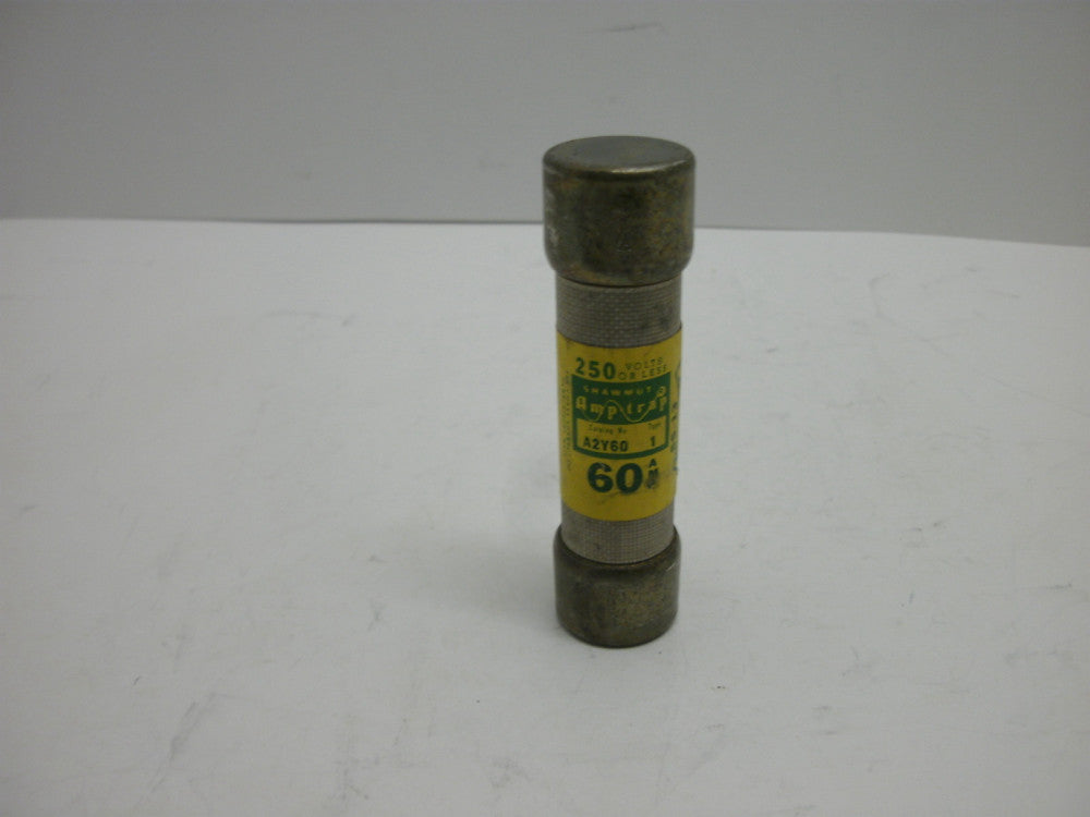 FERRAZ SHAWMUT A2Y60 TYPR 1 FUSE 60 AMP AMP-TRAP 250 VOLTS OR LESS SS-13