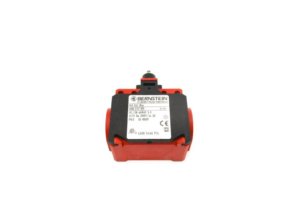 BERNSTEIN BI2-U1ZRIW 608.5117.101 NSNP
