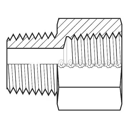 Adaptall 9042-1616 Hose Adapter,1",Bspt,1",Npt