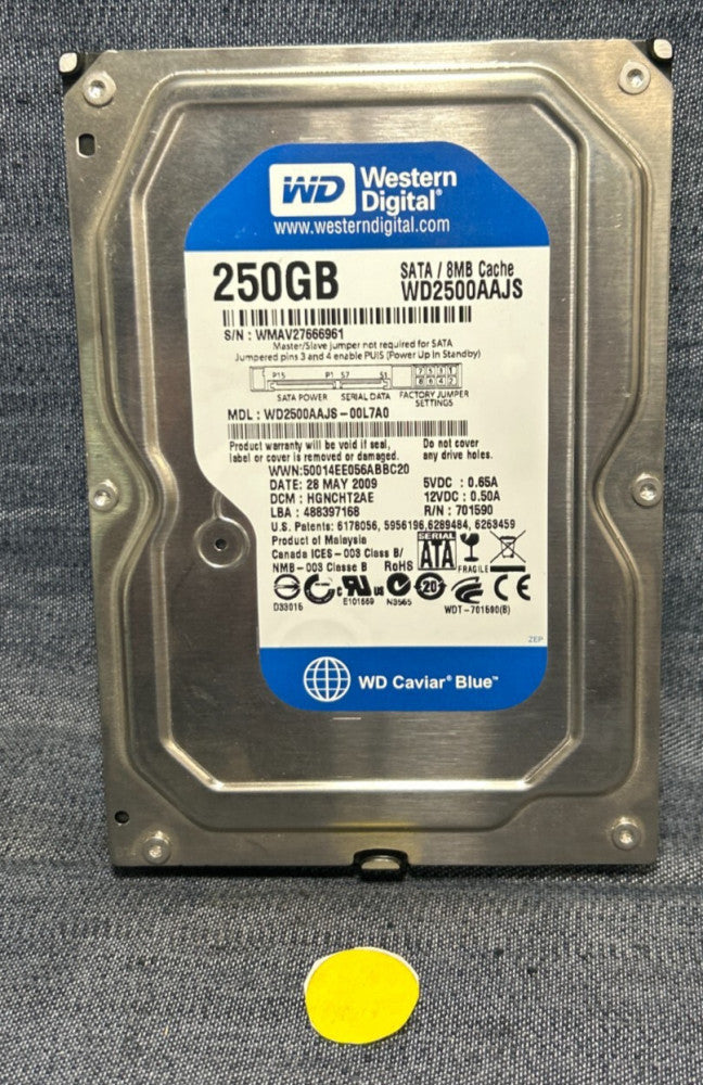 WESTERN DIGITAL HARD DISK DRIVE 250GB 5VDC-0.65A 12VDC-0.50A