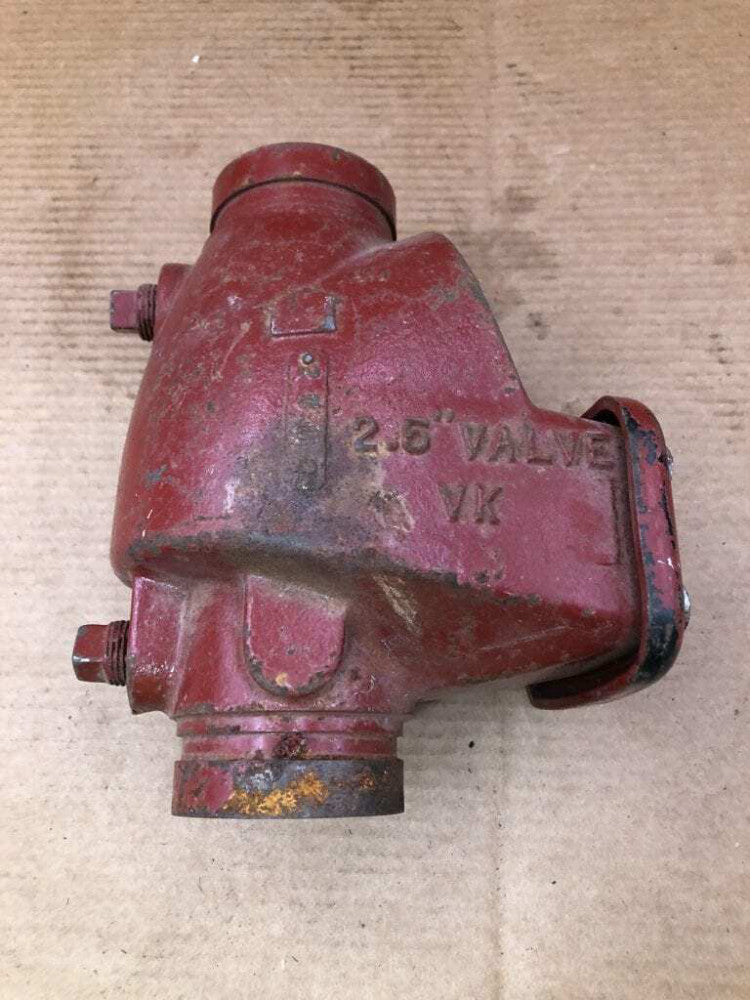 Viking D-1 2-1/2" Cast Iron Swing Check Valve 250PSI 05497C