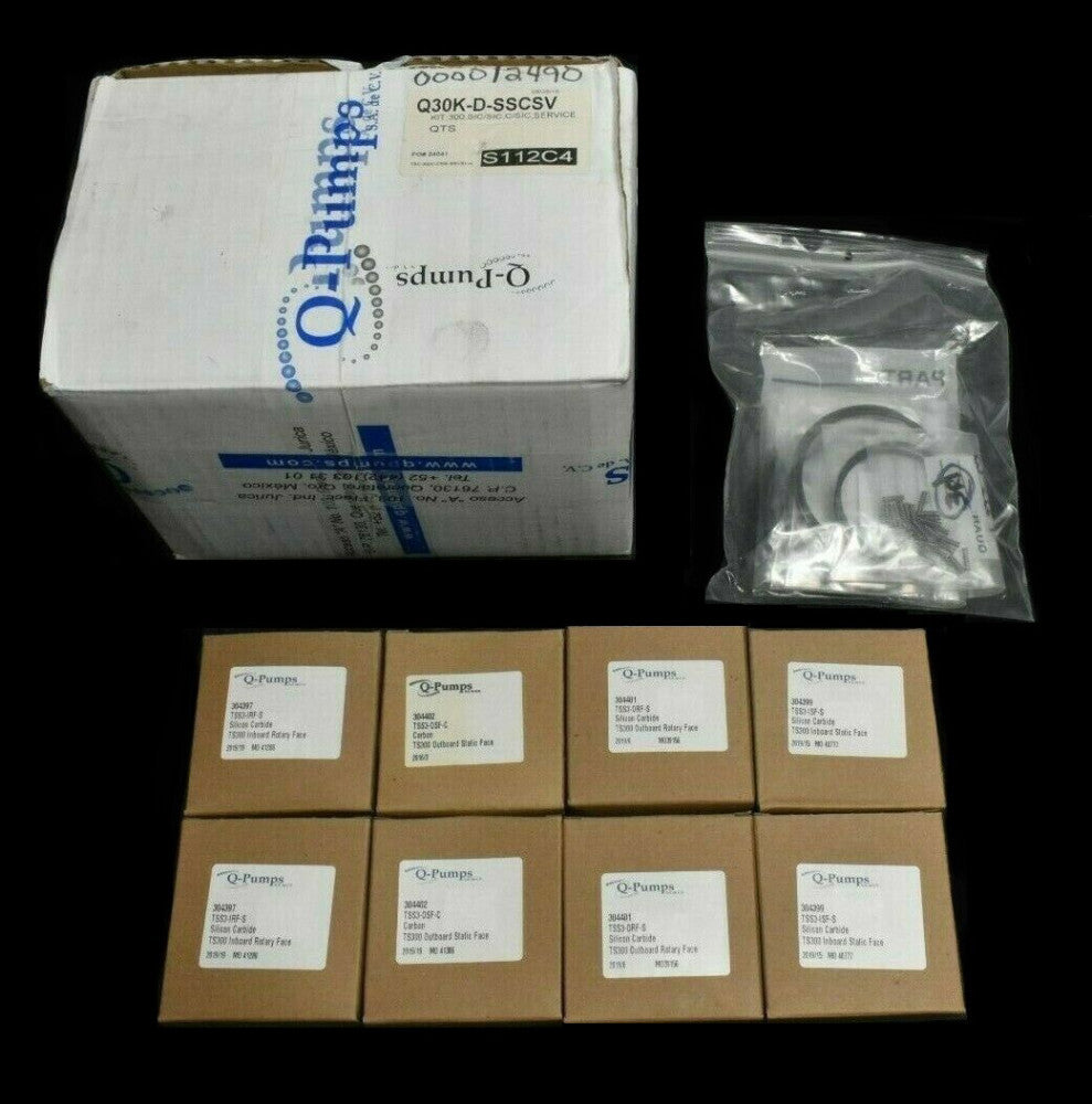 AMPCO Q-PUMPS QTS SERIES Q300,DBL MECH,SIC/SIC,C/SIC,VI-SERVICE KIT Q30K-D-SSCSV