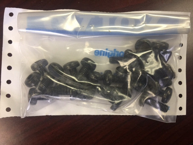 Volvo 13969599 VOE13969599 Six Point Socket Screw (price for 1) (NEW)