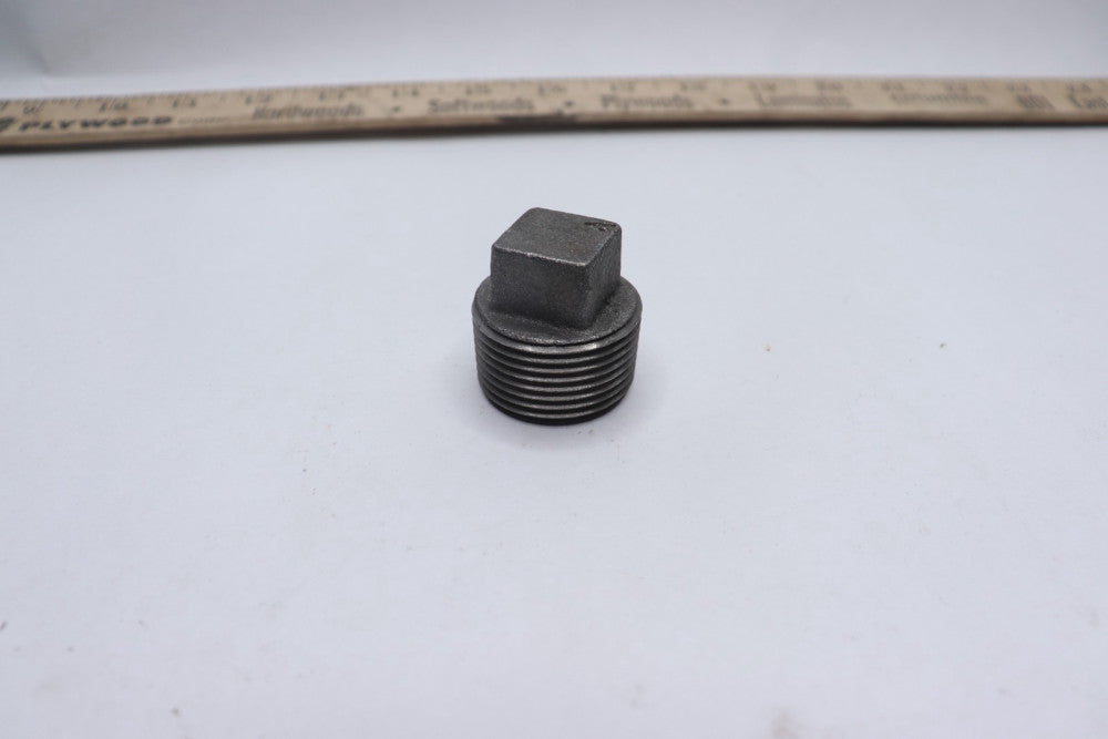 Galvanized Plug 2.5"