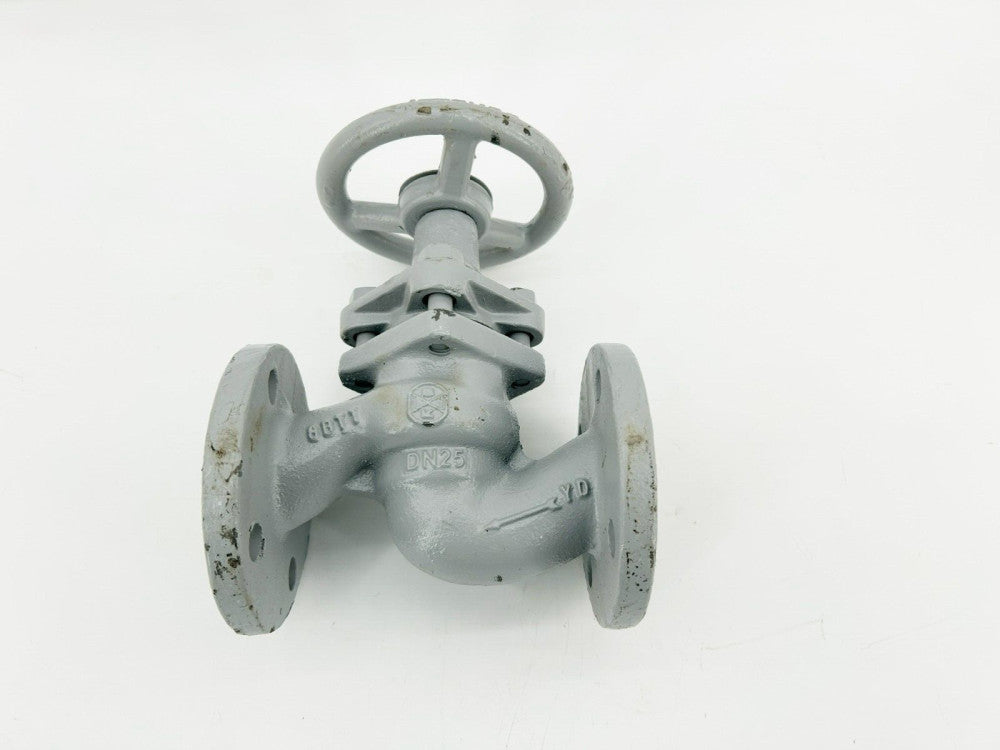 New Bonetti DN25 Type BV Piston Valve, JL1040, PN16, 1"