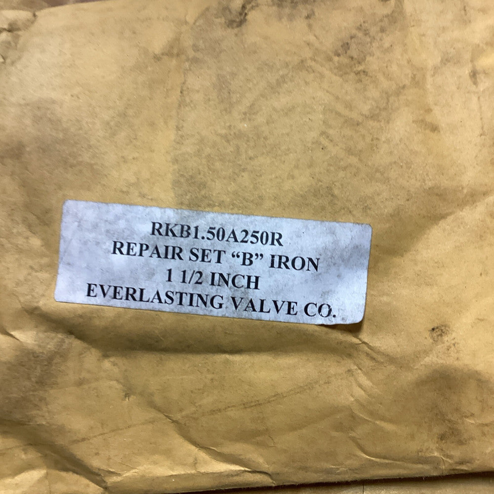 Everlasting Valve Co RKB1.50A250R Set B Iron 1 1/2” Valve Repair Kit G59