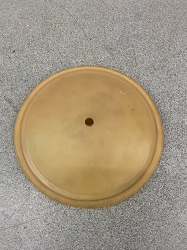 NEW NO BOX WILDEN PUMP DIAPHRAGM 02-1060-56