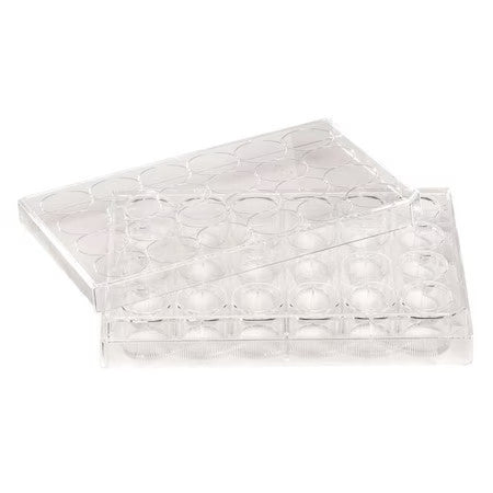 Zoro Select 667147 48 Well Tissue Culture Plate W/Lid,Pk50 (Formerly Lab Safety