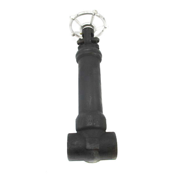 DIXON EAGLE API602C800 1975PSI 2" NSNP