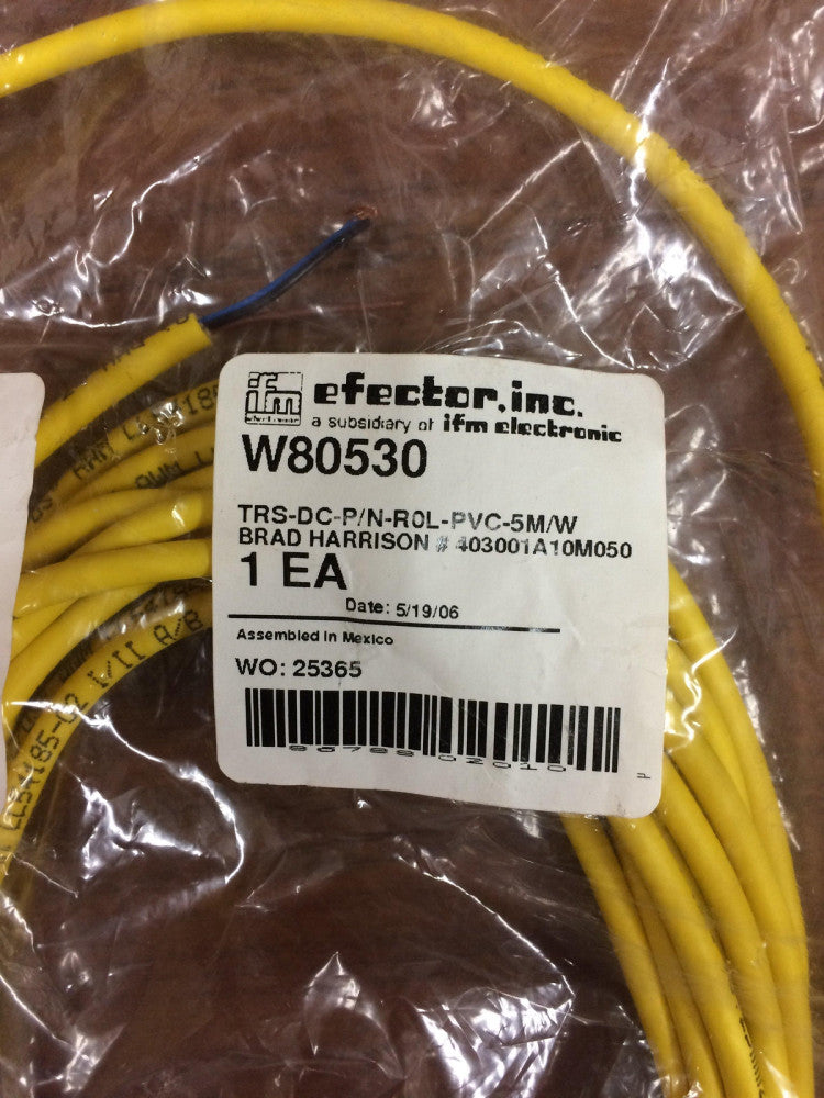 NEW Efector W80530 Brad Harrison Cordset 5M