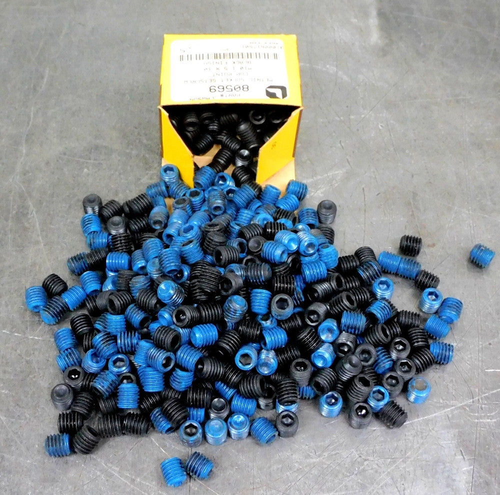 Fastenal - 28-481-1100 M10-1.5x10mm Hex Drive Cup Socket Screw Large Lot(3.2lbs)