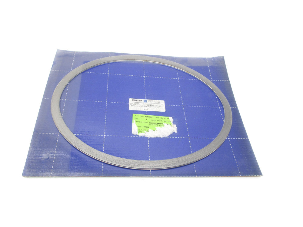 ZOLTEK 170404 NSMP