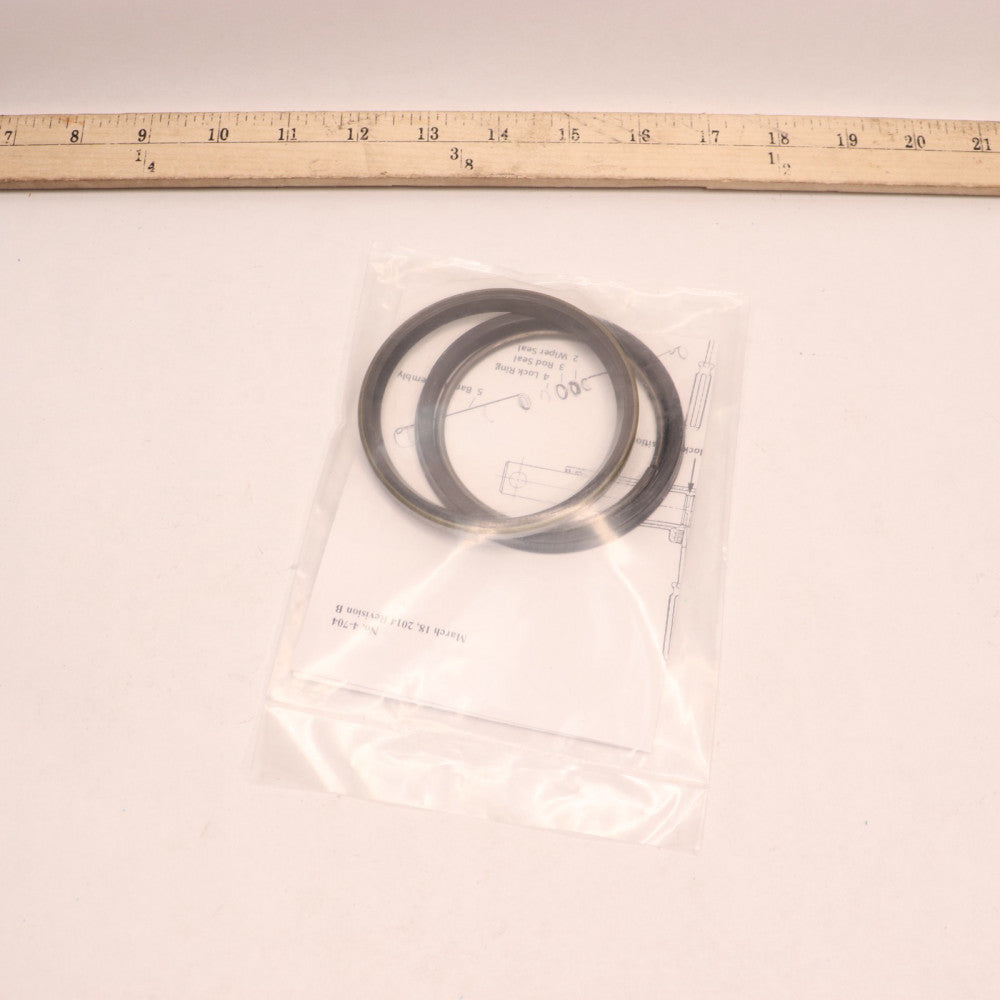 AGCO Parts Seals Kit 10012145