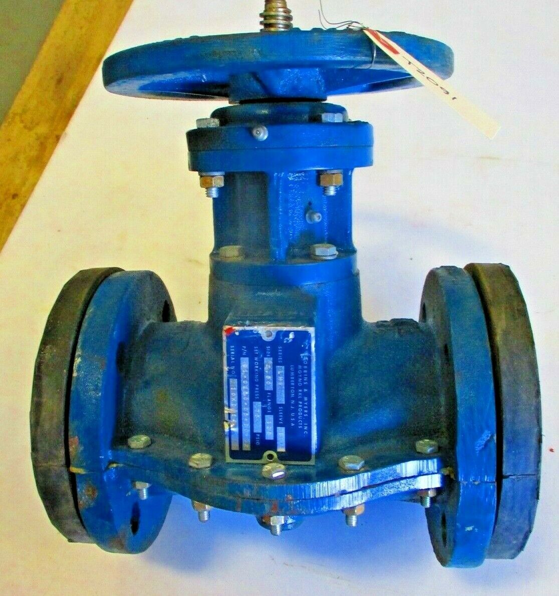Robins-Myers LHW Pinch Valve 2-1/2" 125 Flanged Iron Butyl Sleeve 75psi CWP