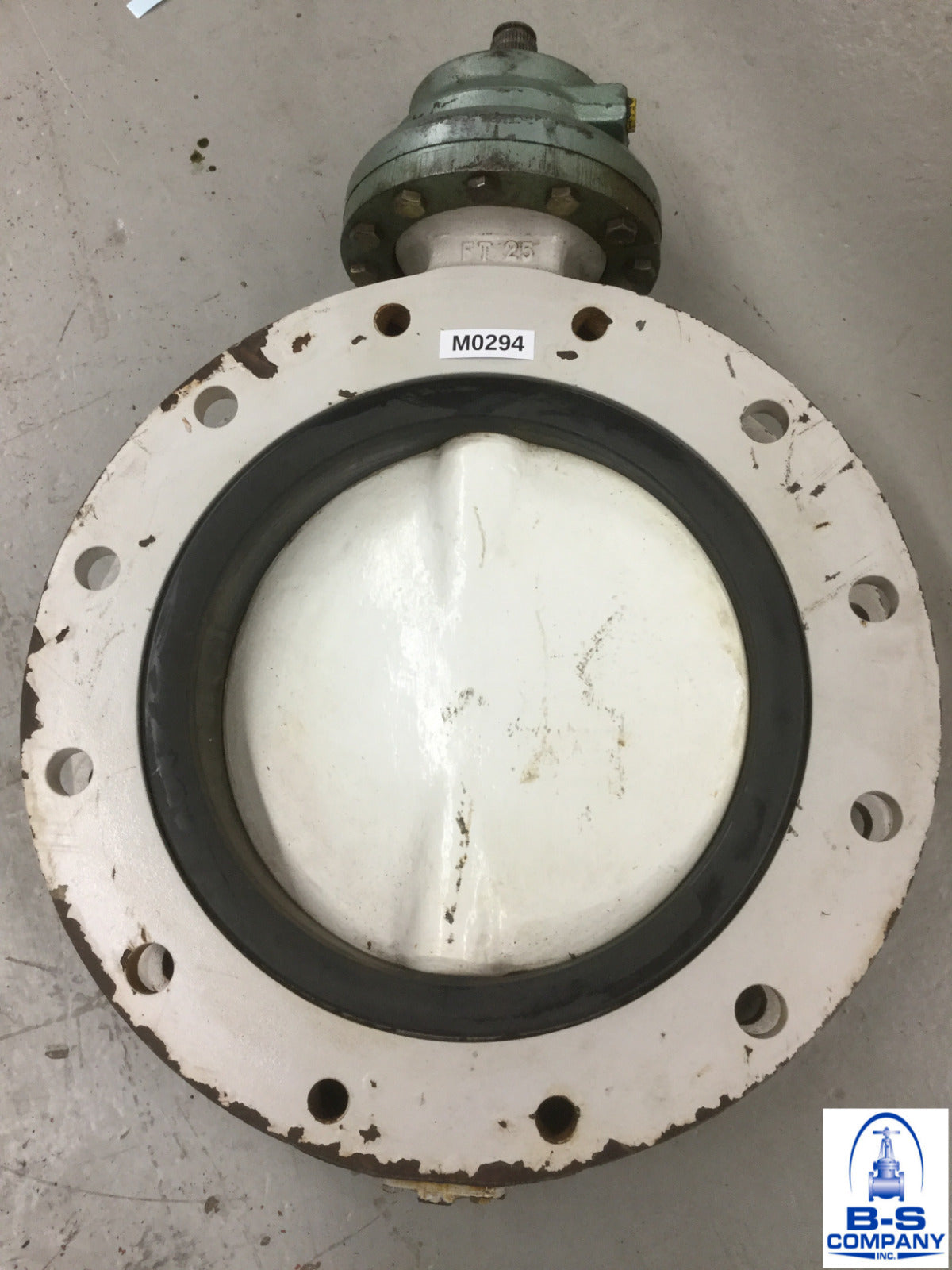 Butterfly Valve 12" 150 Lug Style AMRI 3T6P30XA Nylon Coated Disc EPDM Seat