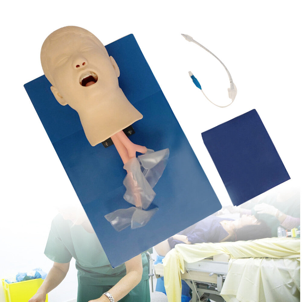 Lab Intubation Manikin Child Head Model Oral Nasal Airway Management Trainer PVC