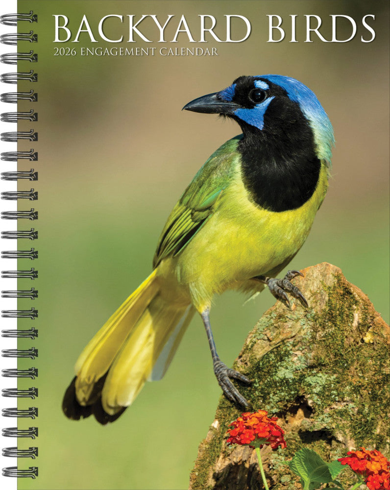 Backyard Birds 2026 6.5" x 8.5" Engagement Calendar