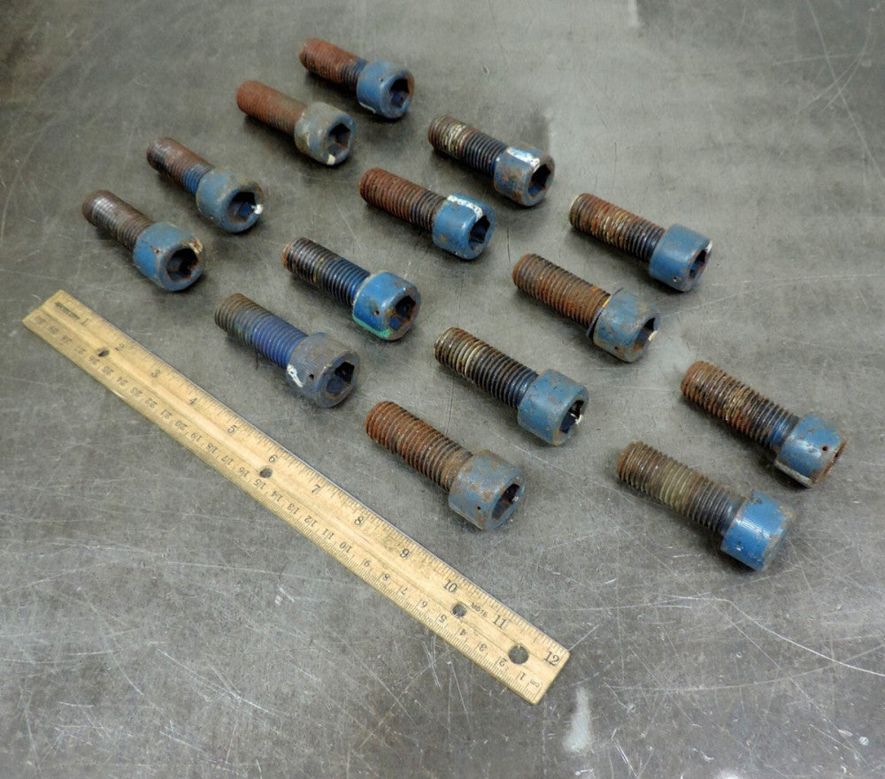 Industrial Socket Head Metric Allen Bolt Cap M20 x 50MM Lot of Fourteen (14)