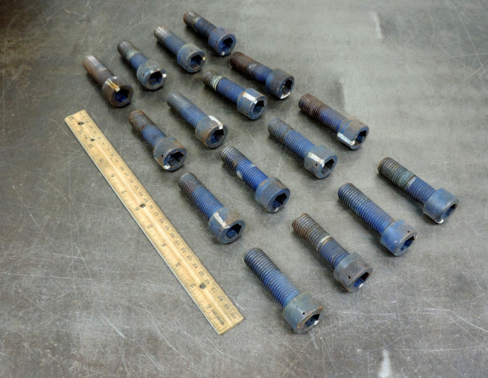Industrial Socket Head Metric Cap Allen Bolt M20 x 65MM Lot of Sixteen (16)