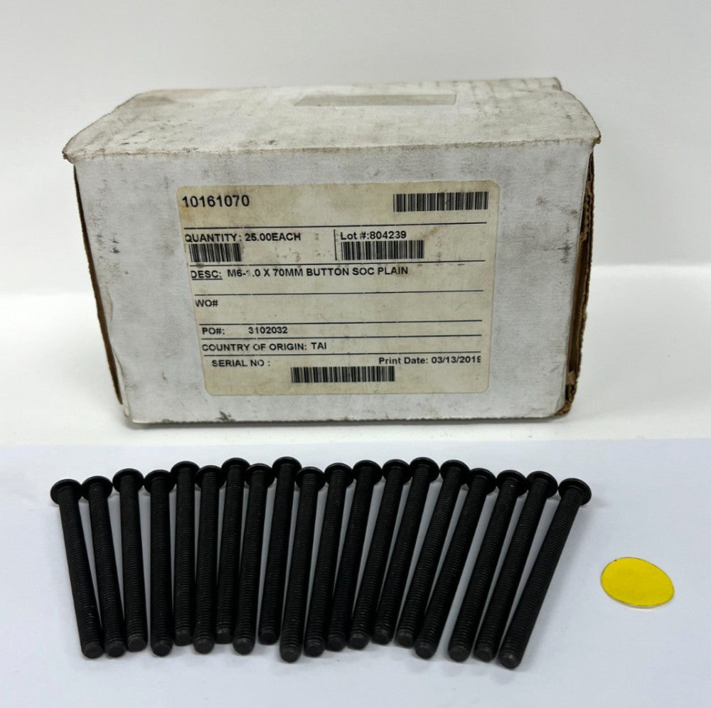 BUTTON HEAD SOCKE CAP SCREWS M6-1.0 X 70MM LOT OF 19