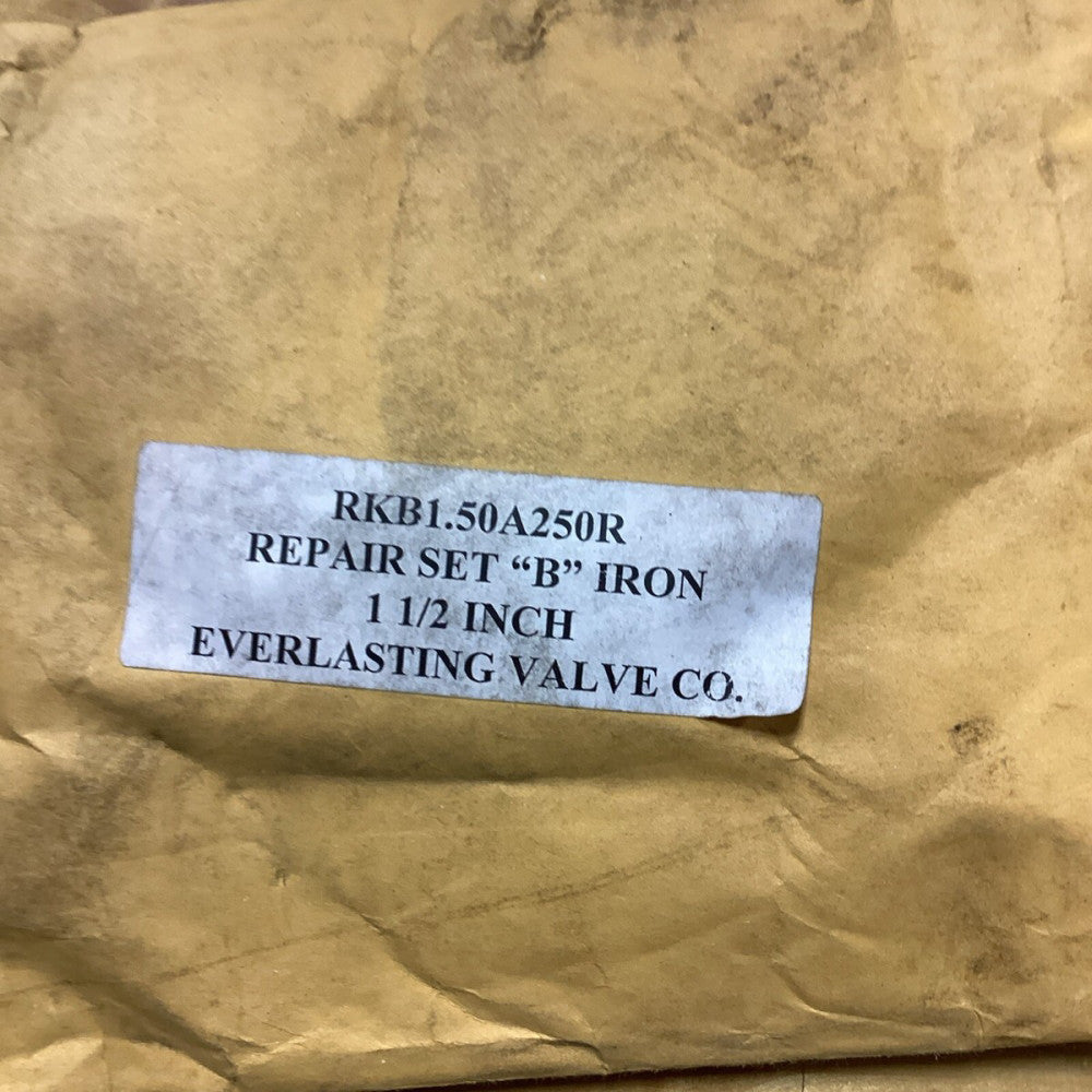 Everlasting Valve Co RKB1.50A250R Set B Iron 1 1/2” Valve Repair Kit  G59