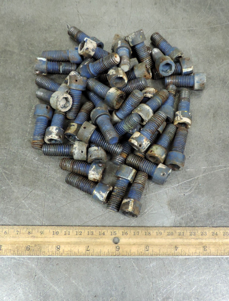 Industrial Socket Head Metric Cap Allen Bolt M12 x 30MM Lot of Forty Six (46)