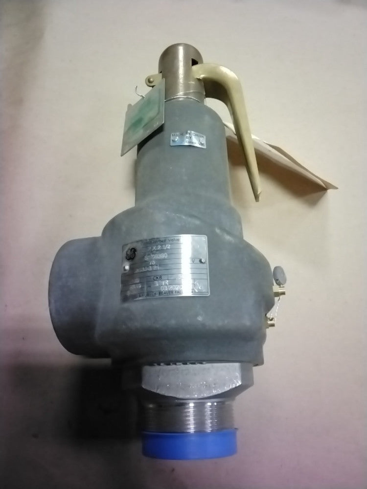 CONSOLIDATED VALVE 1543J-3-21 Relief Valve  2"MNPT x 2-1/2"FNPT