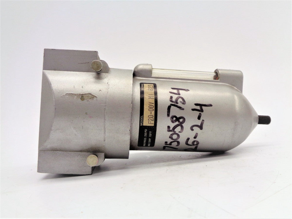 WATTS F20-00V NSNP