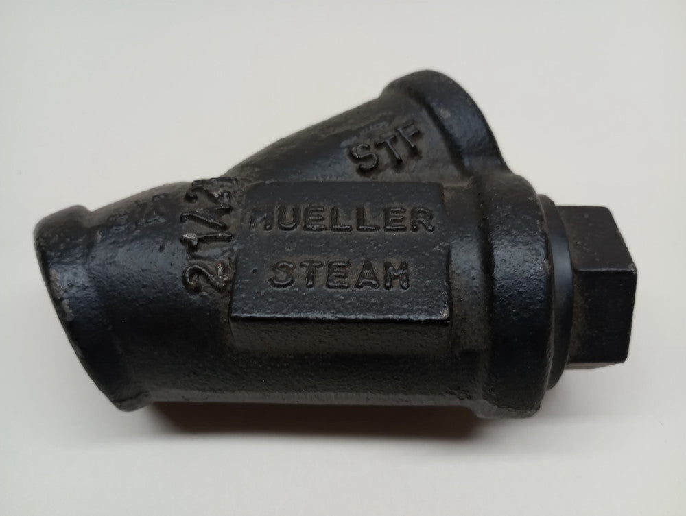 Mueller 11M Wye 3/4 in Cast Iron Steam 20 Mesh 75-11M-01 M6700188