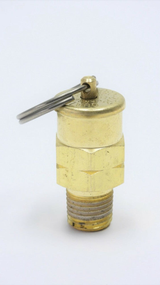 Qualitrol 202-030-01T 10-PSI G 1/4 mpt Compressor Pressure Relief Valve Tank Pop