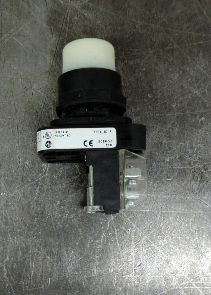 Allen Bradley White Push Button With Pilot Light 800H-PRB16W  Series F