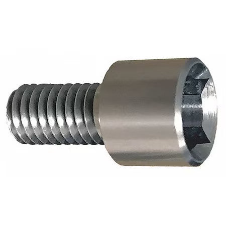 Ampg Zsq60112c24 1/2"-13 Socket Head Cap Screw, Socket, Plain 18-8 Stainless