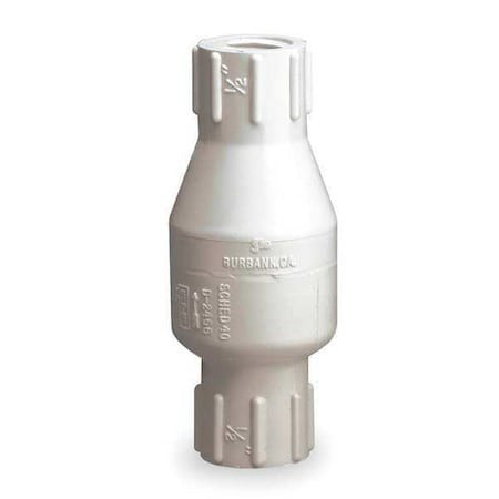 Dayton 4Rg69 2" Fipt Pvc Spring Check Valve