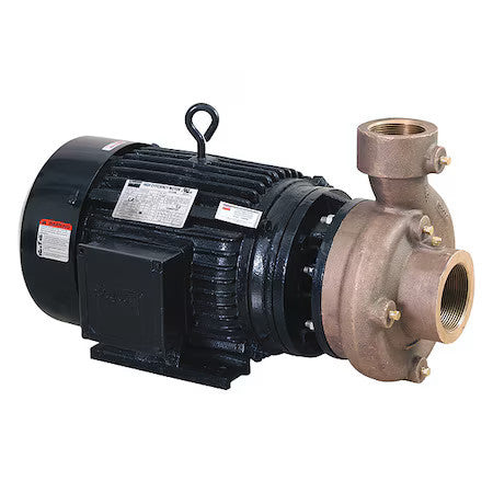 Dayton 55Jj53 Centrifugal Pump,3 Ph, 230/460Vac