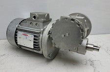 Bonani TR71B6 Gear Motor .25Kw T6CBB020 w/Bonfiglioli VF49F2P71B5EB Gear Reducer