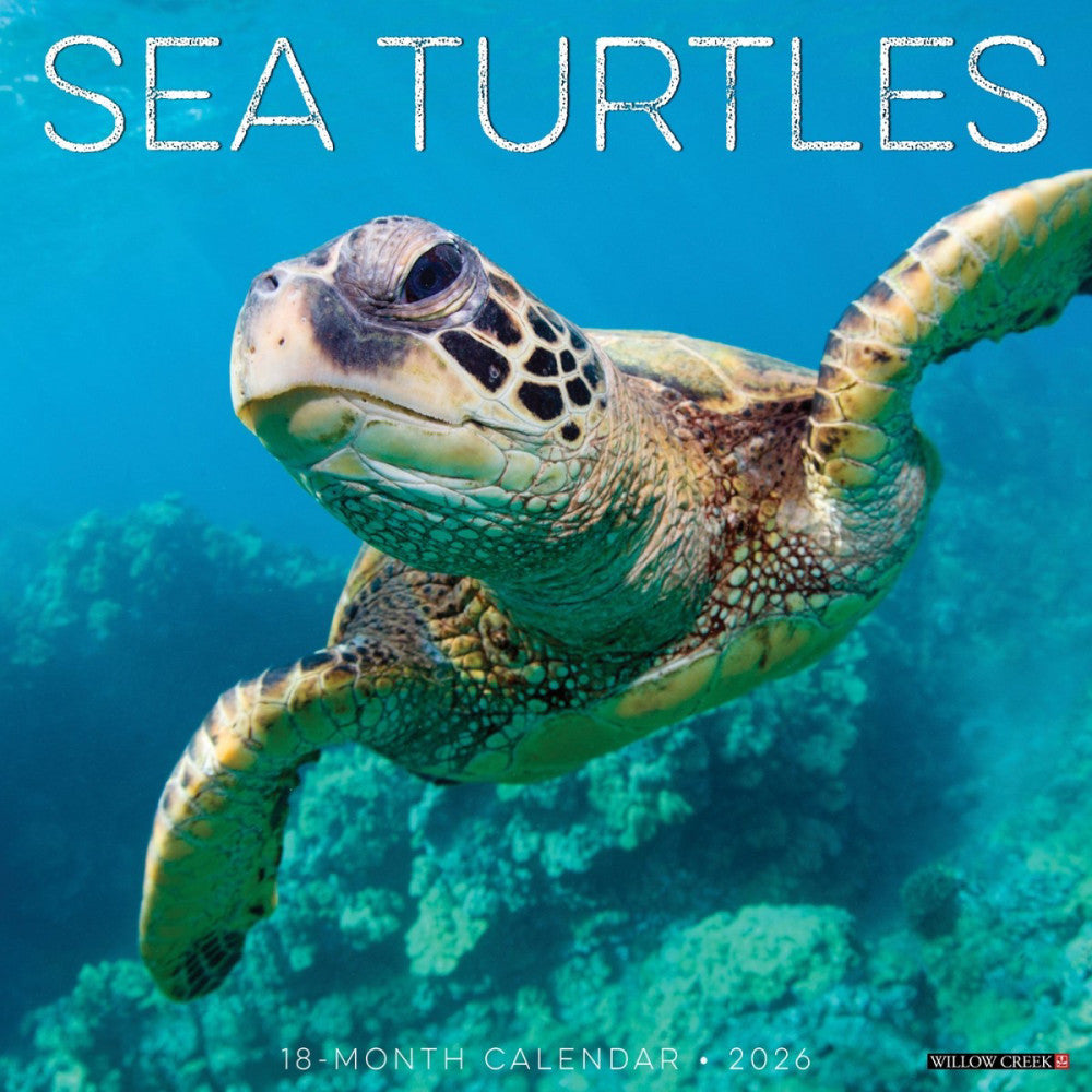 Sea Turtles 2026 12" x 12" Wall Calendar (free shipping)