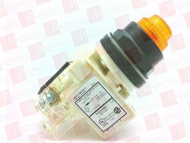 SCHNEIDER ELECTRIC 9001-SKT38LYA31 / 9001SKT38LYA31 (BRAND NEW)