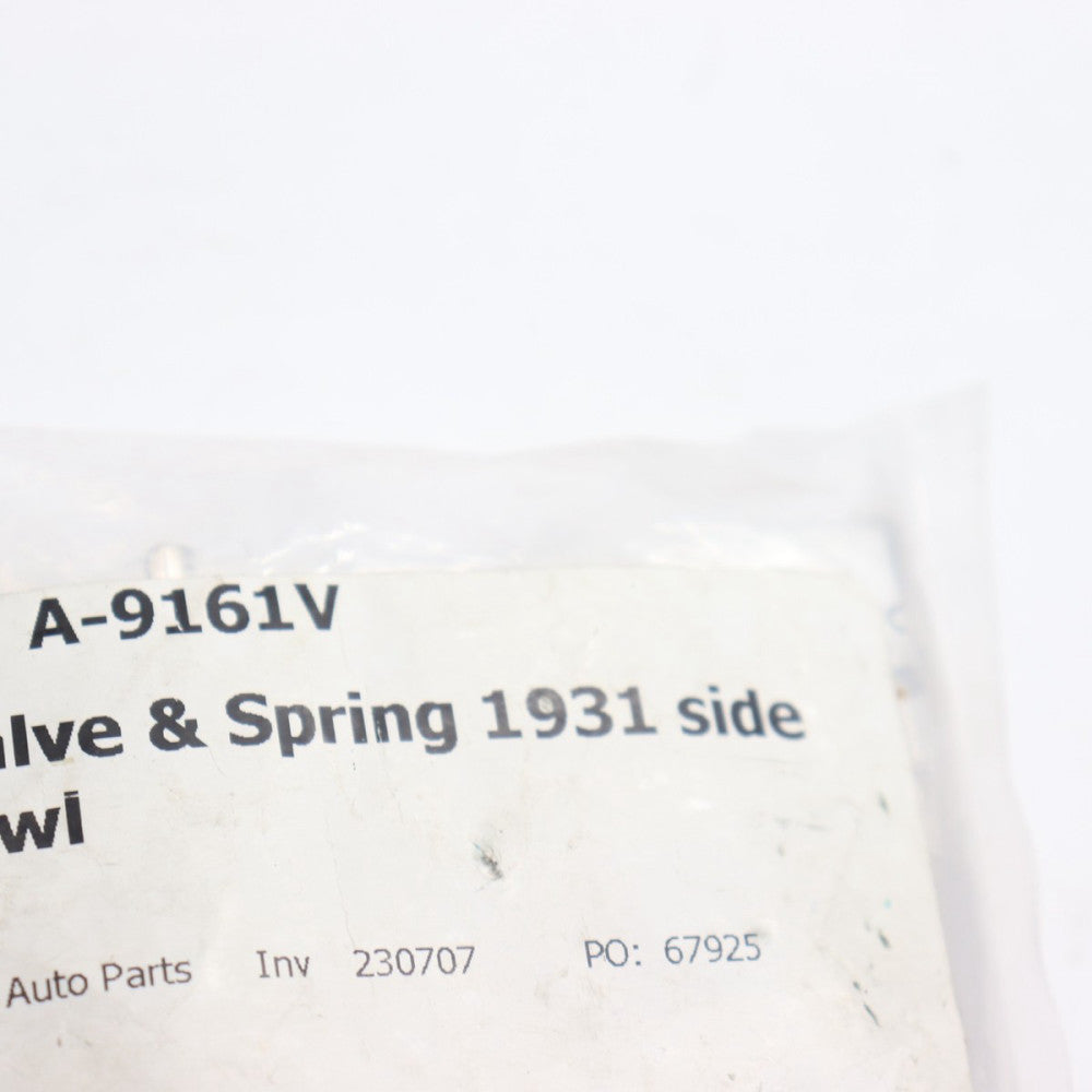 Drain Valve and Spring A-9161V