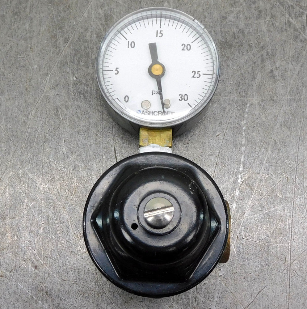 Cash-Valve A16 -BWLASBBF01-D Pressure Regulator 15 to 50 250 PSI 3/8" NPT
