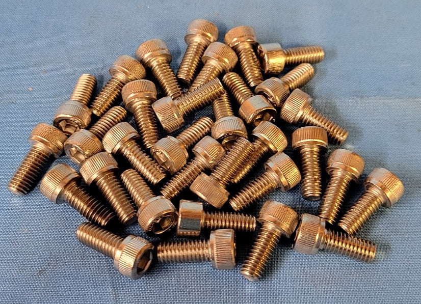 SOCKET HEAD CAP SCREW STAINLESS STEEL M6 - 1.0 X 14MM (LOT OF 32)
