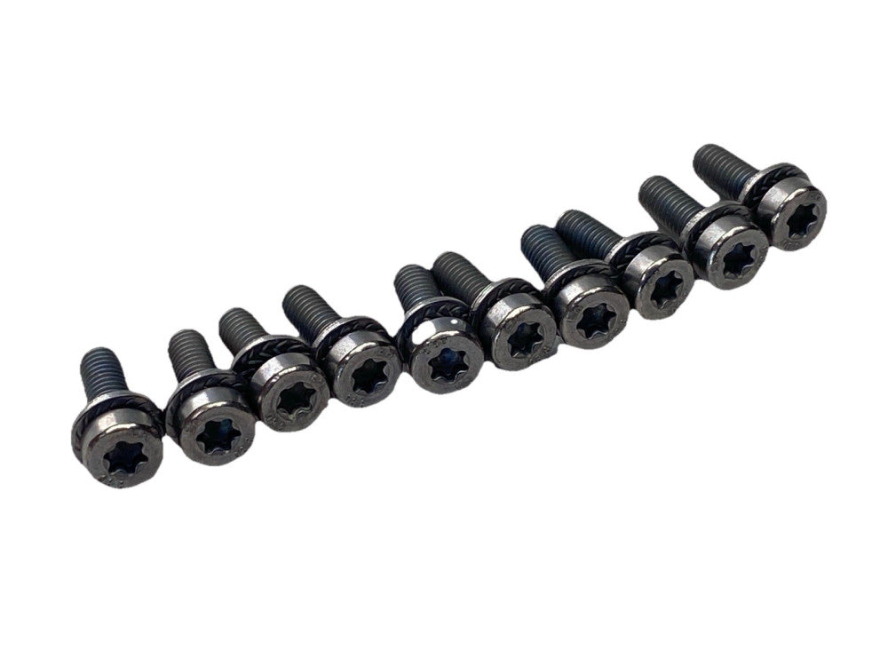 305683 M5x15-8.8 Torx Head Assembly Screw LOT OF 10