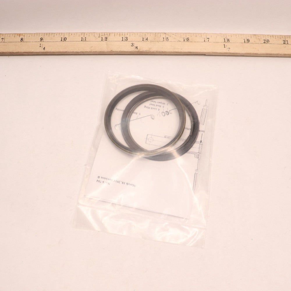 AGCO Parts Seals Kit 10012145