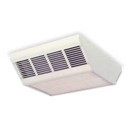 Dayton 2Yu42 Convection Ceiling Heater,277V,17,100Btu