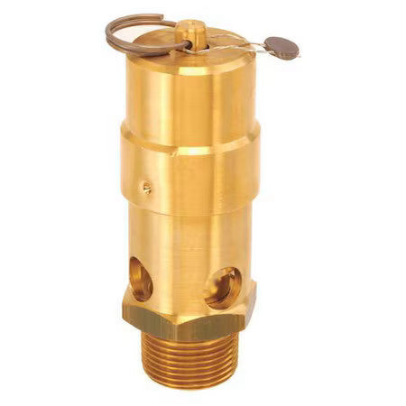Control Devices Sw10-0A200 Air Safety Valve,1 In Inlet, 200 Psi