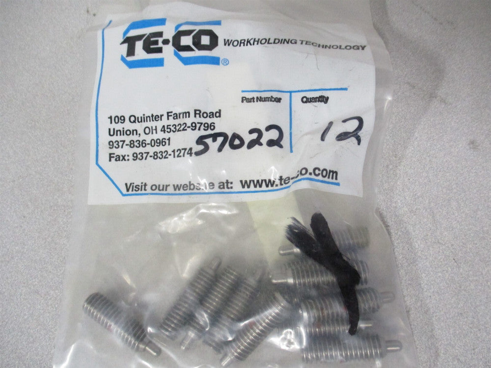 Te-Co (57022) 303 Stainless Steel Imperial SS Body Hex Plungers - Pack of 12 