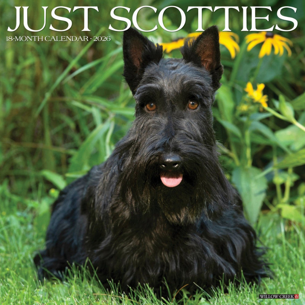 Scotties 2026 12" x 12" Wall Calendar (free shipping)