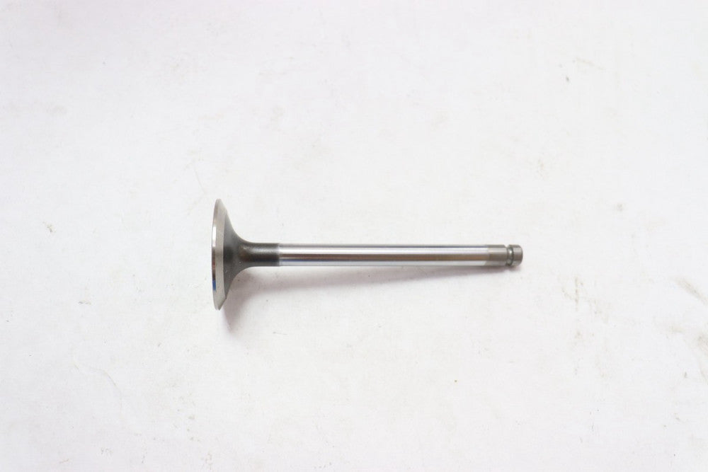 (4-Pk) Blumaq Valve Inlet 1456855