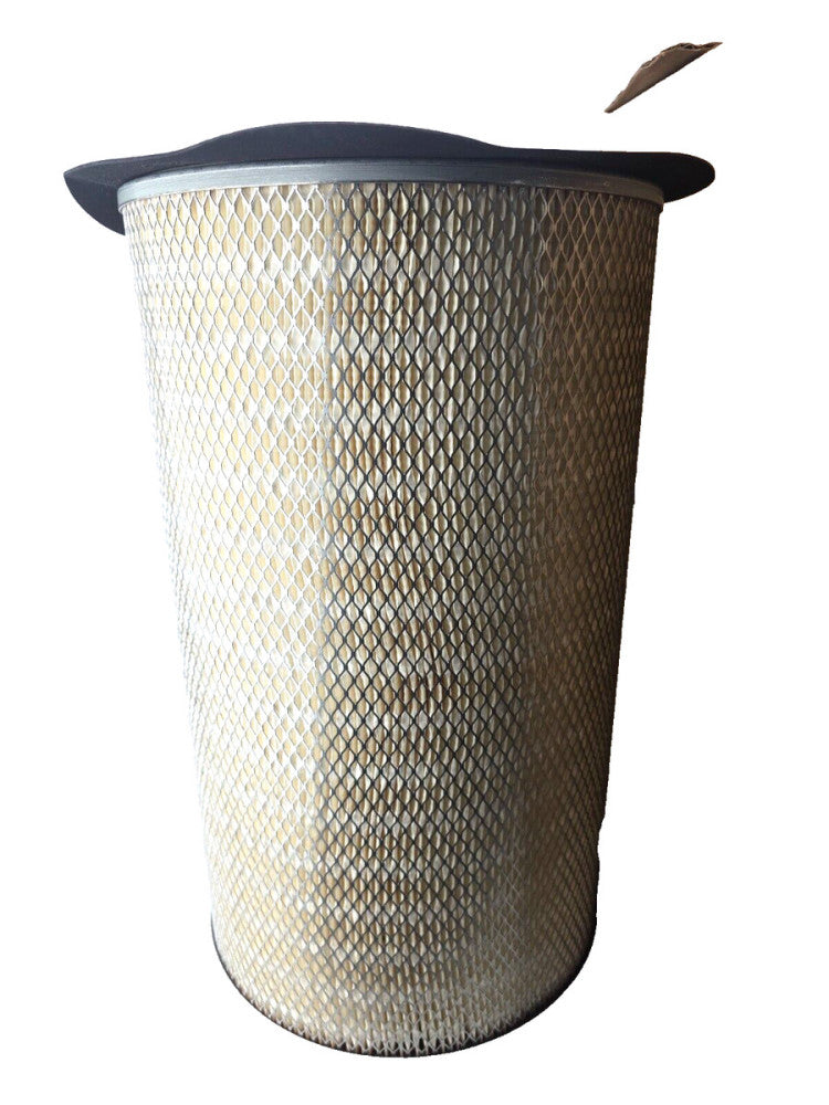 Baldwin Filters PA2396 Air Filter 12-1/16 X 20-3/8 In. for Versatile 22934